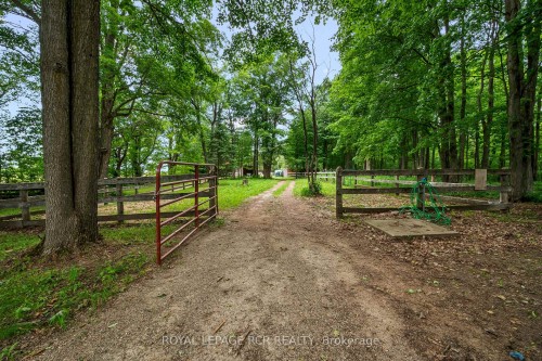 426079 25 Side Road, Mono, ON - Outdoor