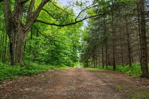 426079 25 Side Road, Mono, ON - Outdoor