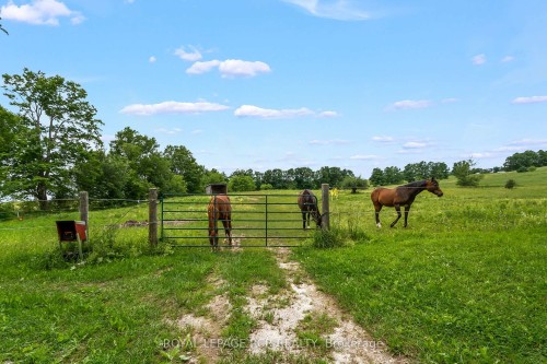 426079 25 Side Road, Mono, ON - Outdoor With View