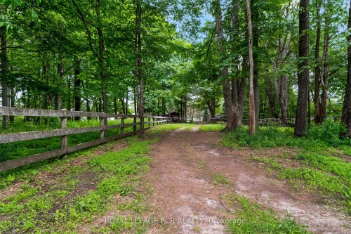 426079 25 Side Road, Mono, ON - Outdoor