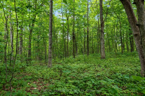 426079 25 Side Road, Mono, ON - Outdoor