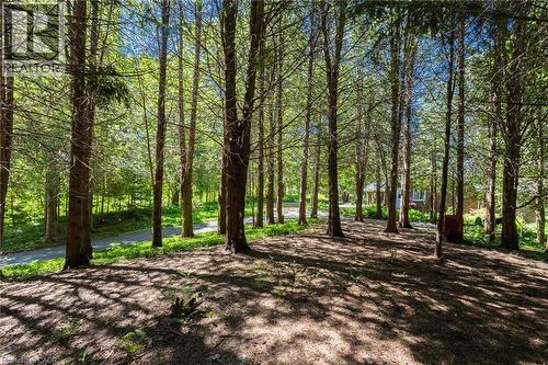 1265 Britannia Road, Burlington, ON - Outdoor With View