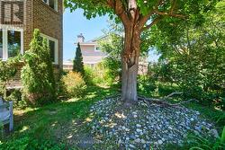 Mature gardens - 