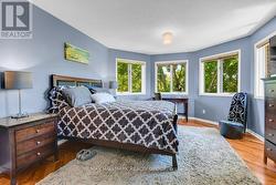 East facing windows offer loads of daylight - 