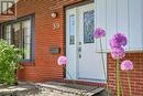 Stunning allium is only one of many blooms - 39 Biscayne Crescent, Ottawa, ON 