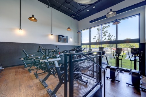 Salle d'exercice - 1421-200 Rue Marie-Charles-Le Moyne, Longueuil (Le Vieux-Longueuil), QC - Indoor Photo Showing Gym Room