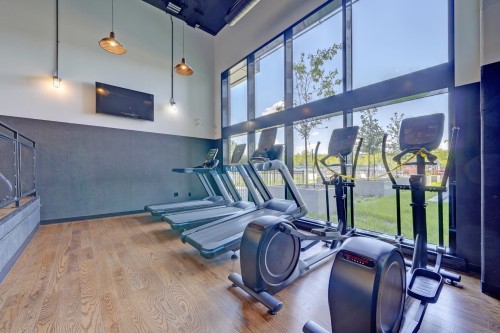 Salle d'exercice - 1421-200 Rue Marie-Charles-Le Moyne, Longueuil (Le Vieux-Longueuil), QC - Indoor Photo Showing Gym Room