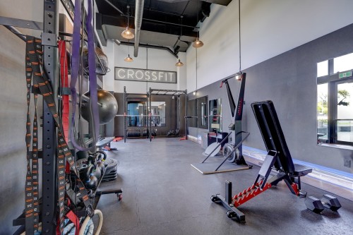 Salle d'exercice - 1421-200 Rue Marie-Charles-Le Moyne, Longueuil (Le Vieux-Longueuil), QC - Indoor