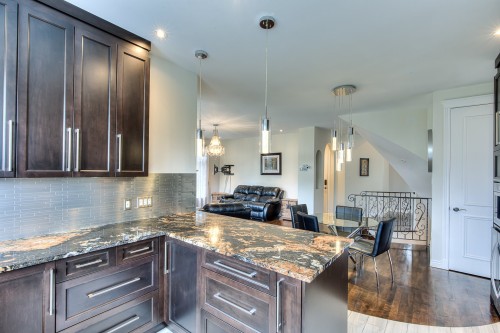 Cuisine - 423 Rue Des Roseaux, Laval (Sainte-Dorothée), QC - Indoor Photo Showing Kitchen With Upgraded Kitchen