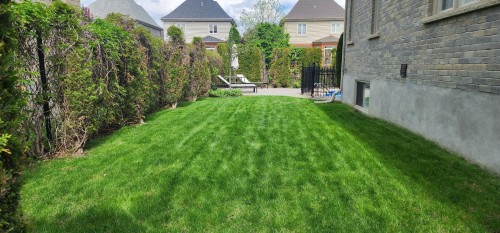 Extérieur - 423 Rue Des Roseaux, Laval (Sainte-Dorothée), QC - Outdoor