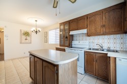 Kitchen - 