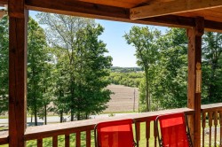 View - 
