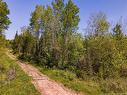 Lot Creek Rd, Berwick, NB 
