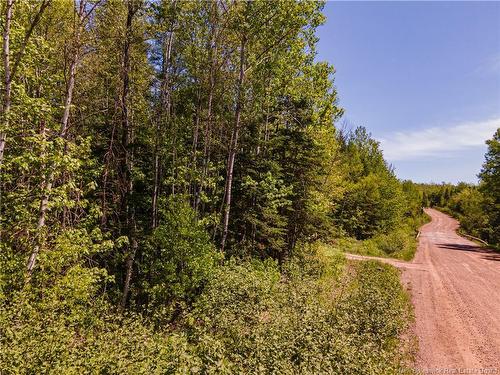 Lot Creek Rd, Berwick, NB 
