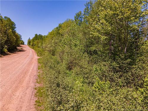 Lot Creek Rd, Berwick, NB 