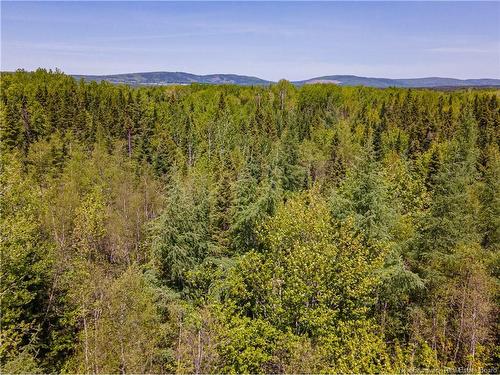 Lot Creek Rd, Berwick, NB 