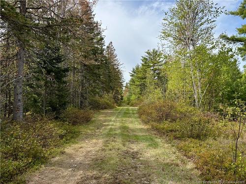 1892 Route 460, Tabusintac, NB 