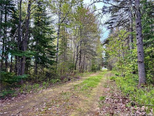 1892 Route 460, Tabusintac, NB 