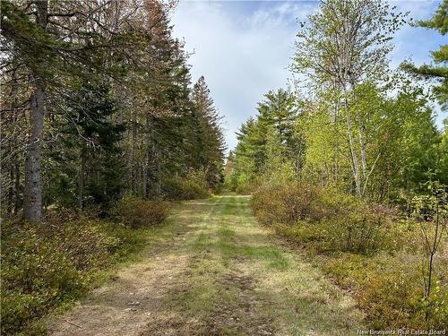 1892 Route 460, Tabusintac, NB 