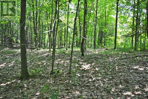 19 Turtle Lane, Mckellar, ON 