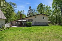 Back Yard - 
