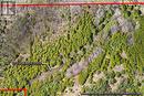 353814 Osprey Artemesia Townline, Grey Highlands, ON 