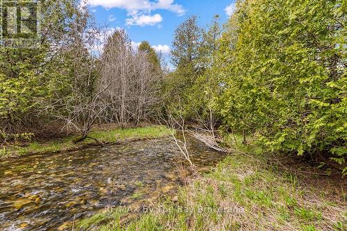 353814 Osprey Artemesia Townline, Grey Highlands, ON 