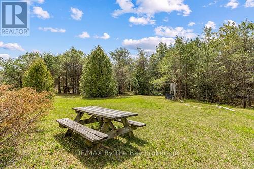 353814 Osprey Artemesia Townline, Grey Highlands, ON 