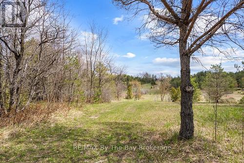 353814 Osprey Artemesia Townline, Grey Highlands, ON 