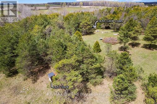 353814 Osprey Artemesia Townline, Grey Highlands, ON 