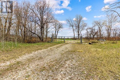 353814 Osprey Artemesia Townline, Grey Highlands, ON 