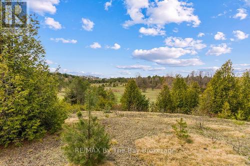 353814 Osprey Artemesia Townline, Grey Highlands, ON 