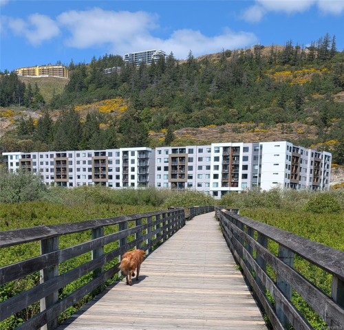 #511-1361 Goldstream Ave  Langford, BC V9B 7B4