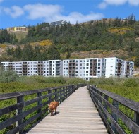 #511-1361 Goldstream Ave Langford, BC V9B 7B4