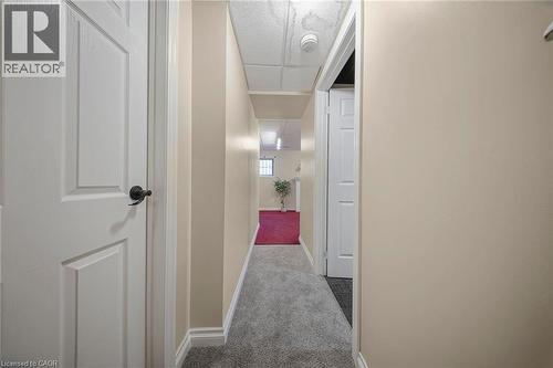 Hallway featuring neutral-toned walls, white trim, and gray textured carpeting - 124 Dunsmere Drive, Kitchener, ON - Indoor Photo Showing Other Room
