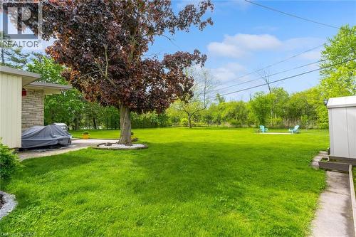 Expansive backyard featuring a large tree with red foliage, a concrete patio area, and a white storage shed - 899 Niagara Parkway, Fort Erie, ON 
