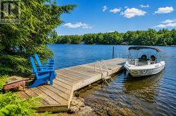 Great shoreline for all ages - 
