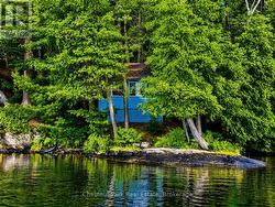 Few feet from the water's edge - 