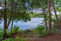 Privacy and views - 