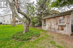 Large Garden Shed - 