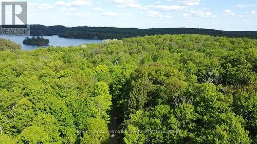 C8 Pt L2 Con 8 Pt Lot 22, Frontenac (Frontenac North), ON 