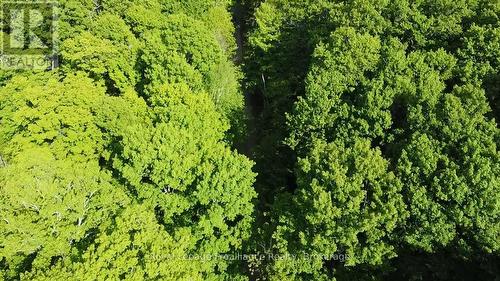 C8 Pt L2 Con 8 Pt Lot 22, Frontenac (Frontenac North), ON 