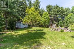very spacious level back yard - 