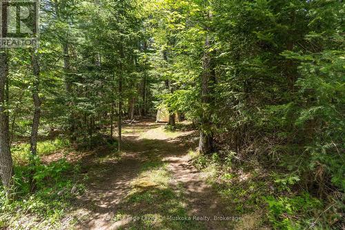 driveway access to back yard - 244 South Mary Lake Road, Huntsville (Stephenson), ON - Outdoor