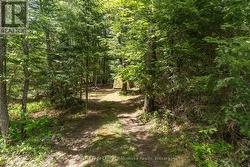 driveway access to back yard - 