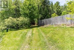 driveway access to back yard - 