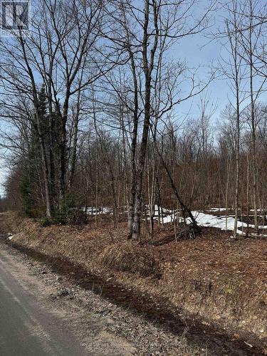 Lot 3 Lorimer Lake Road, Whitestone (Hagerman), ON 