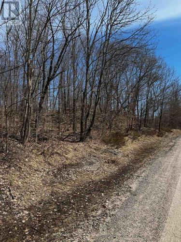 Lot 3 Lorimer Lake Road, Whitestone (Hagerman), ON 