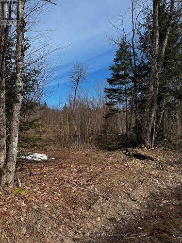 Lot 3 Lorimer Lake Road, Whitestone (Hagerman), ON 