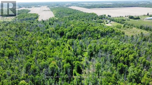 3251 Paden Road, Ottawa, ON 